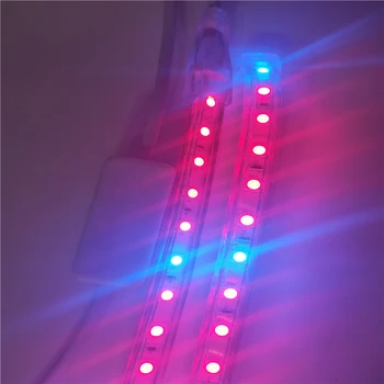 100M 50M LED Rastlín Rastú svetlá Pásy celé Spektrum Vodotesný IP67 AC220V Pre emisie Skleníkových Hydroponické Osiva ZELENINY Kvet Phyto Lampa Obrázok 4